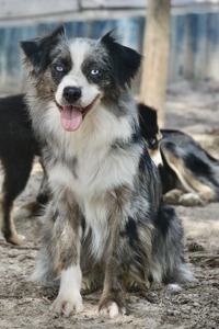Rancho Loco’s Futures bright @AG (Oakley )